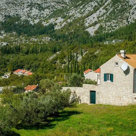 Family And Friends فيلة Dubravka