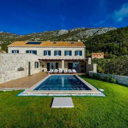 فيلة Family And Friends