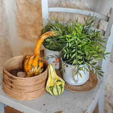 Family And Friends Dubravka