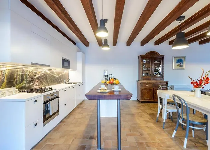 فيلة Family And Friends Dubravka