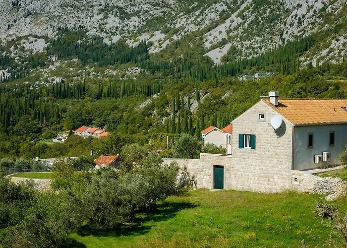 Family And Friends فيلة Dubravka