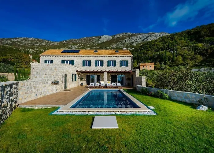 فيلة Family And Friends