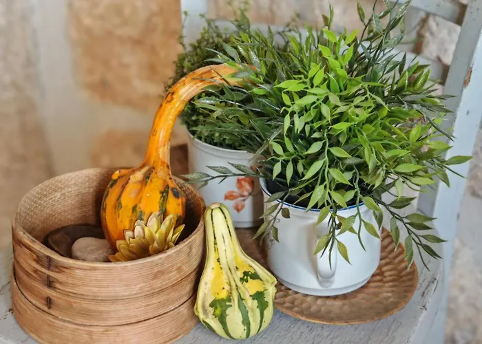 Family&friends Dubravka